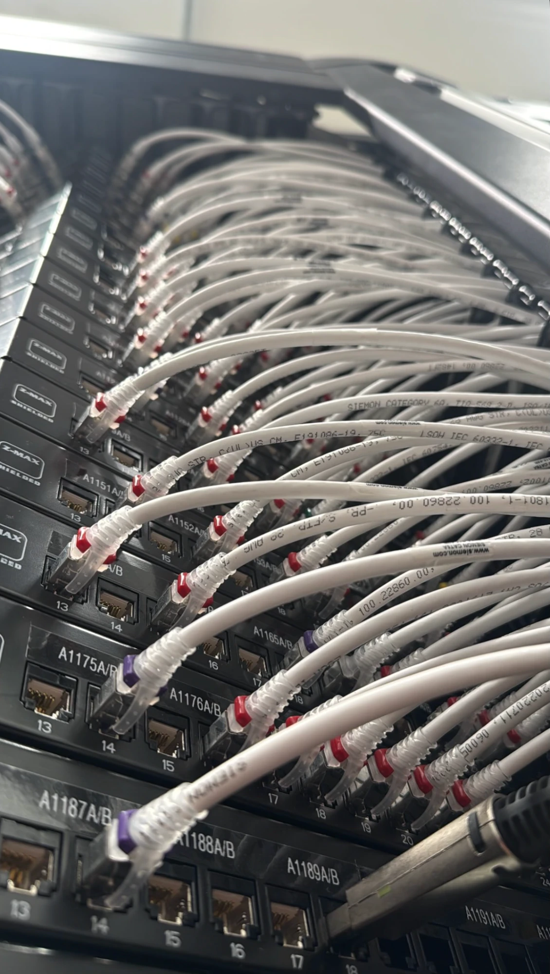 A patch panel with every port individually ID-labeled and the cable runs documented.